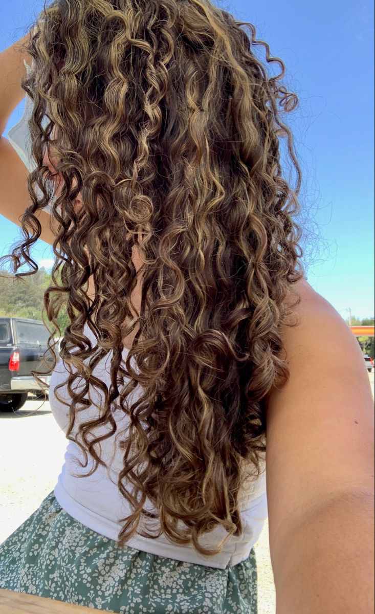 Natural Curly Brown Hair With Blonde Highlights